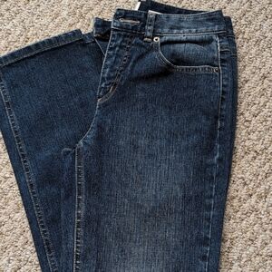 Talbots Blue Denim Jeans 2P